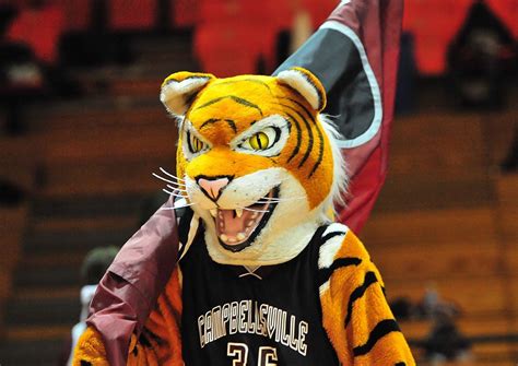 A Closer Look at the Top Wildcat College Mascots in the Nation